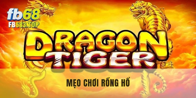 Mẹo chơi rồng hổ