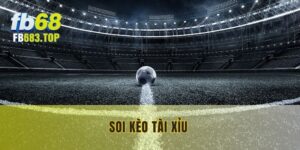 Soi kèo tài xỉu